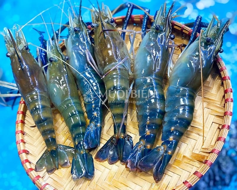 Tôm càng sen tại nhà hàng hải sản Muối Biển