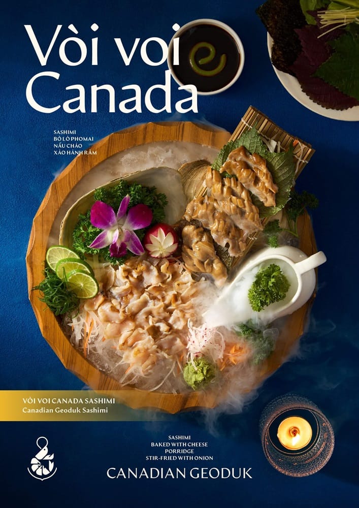 Vòi voi canada sashimi