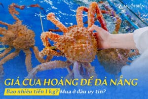 Cua hoàng đế Đà Nẵng
