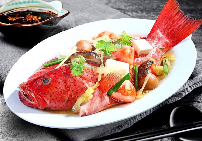 cách chế biến cá mú đỏ giá cá mú đỏ