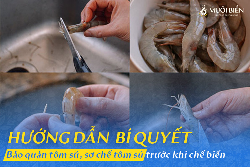 cách bảo quản tôm sú sống