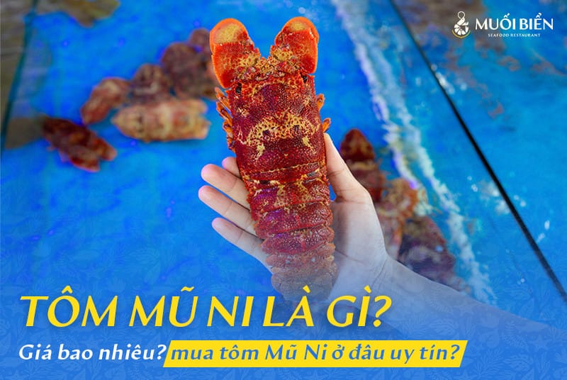 Tôm mũ ni