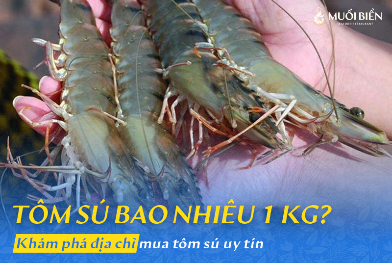 Tôm sú bao nhiêu 1kg