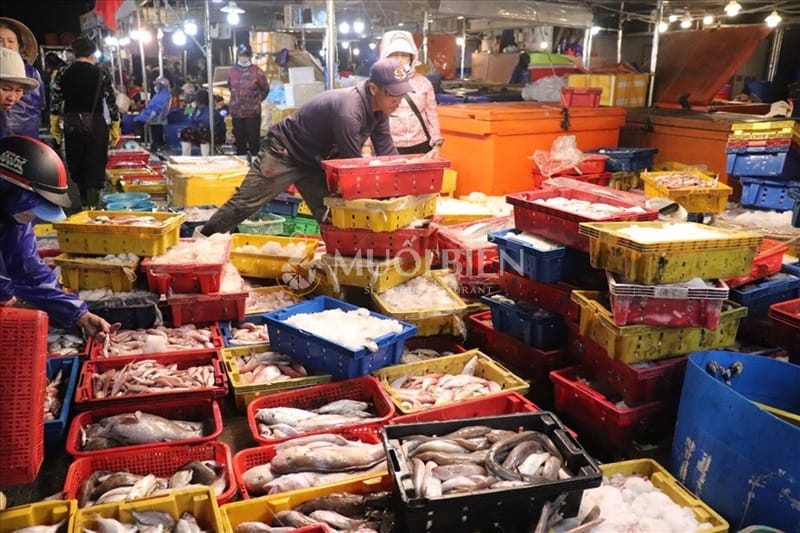 địa chỉ mua ghẹ