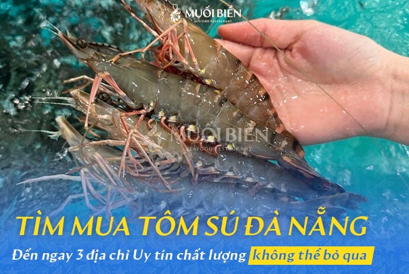 Địa chỉ mua tôm sú uy tín ở Đà Nẵng