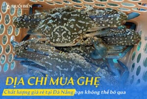 địa chỉ mua ghẹ Đà Nẵng