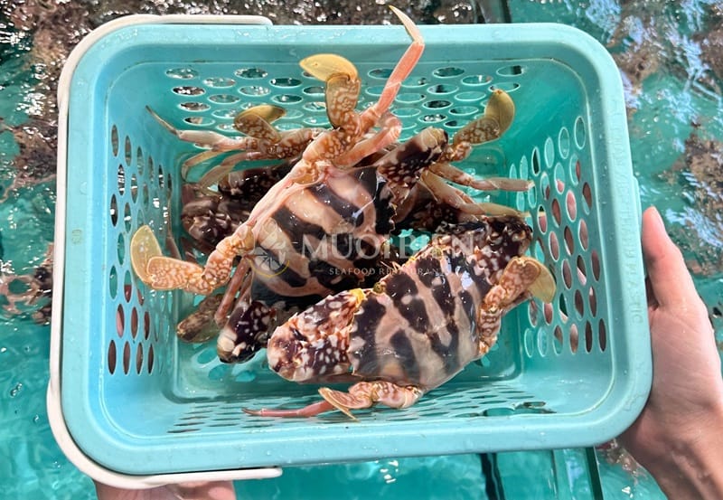 Địa chỉ mua ghẹ