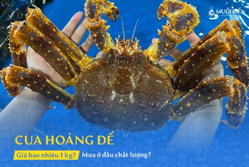 Cua hoàng đế giá bao nhiêu 1kg
