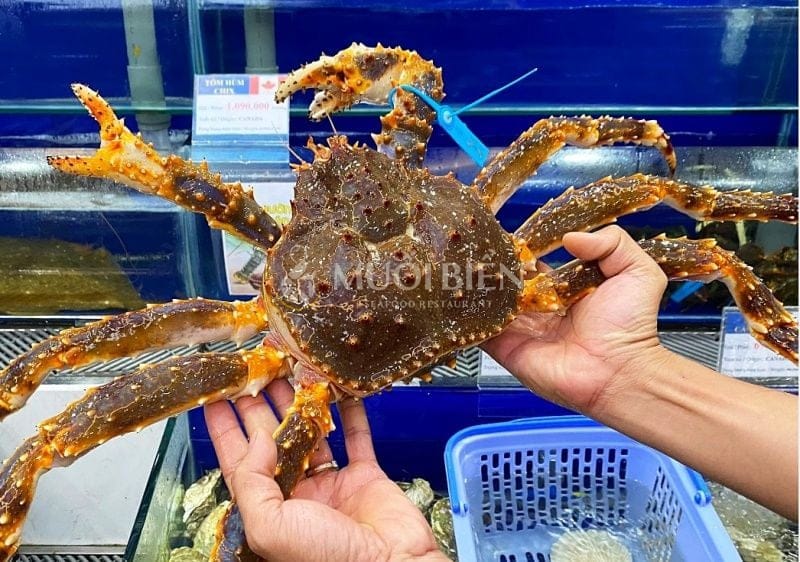 Địa chỉ mua cua hoàng đế chất lượng cua hoàng đế giá bao nhiêu 1 kg