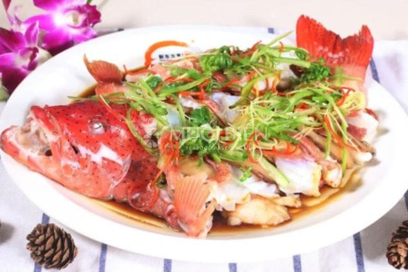 Cá mú đỏ hấp xì dầu cá mú đỏ hấp xì dầu