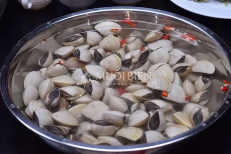 cách làm nghêu sạch cát nghêu xào lá quế