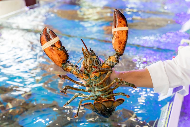 alaska lobster alaska lobster restaurant in Da Nang
