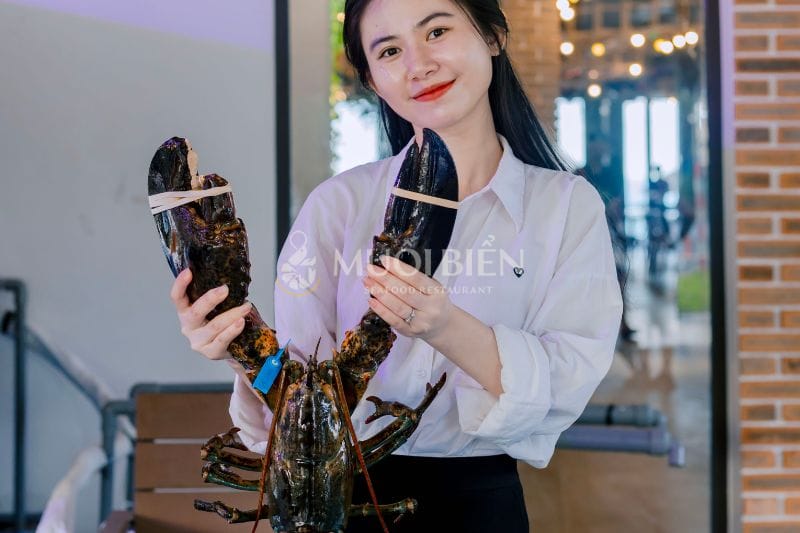 How to identify fresh Alaska lobster Alaska lobster restaurant in Da Nang