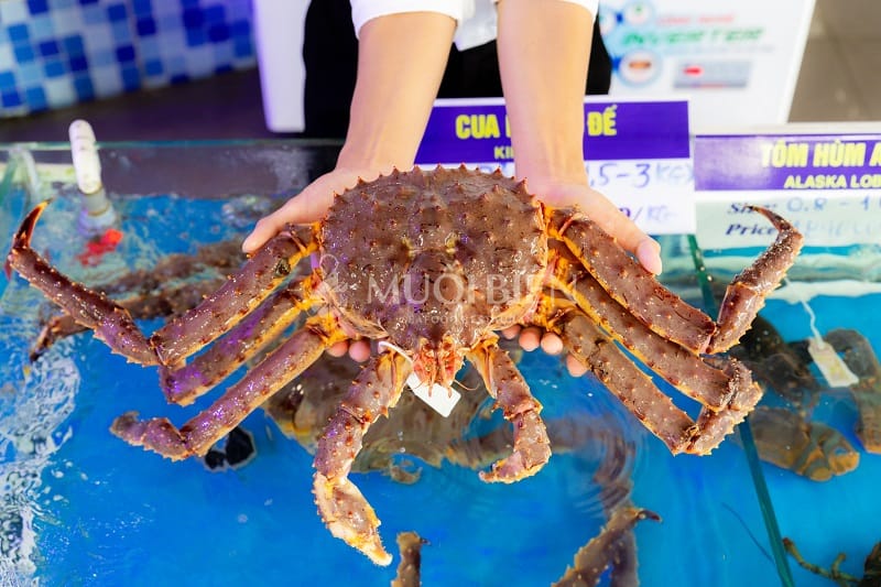 king crab in da nang