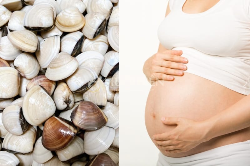 Bà bầu có ăn nghêu được hay không cháo nghêu cho bà bầu