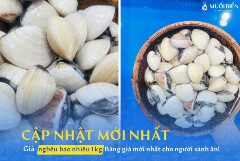 nghêu bao nhiêu 1 kg