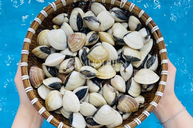 nghêu chất lượng tại Muối Biển Seafood Restaurant canh bầu nấu nghêu