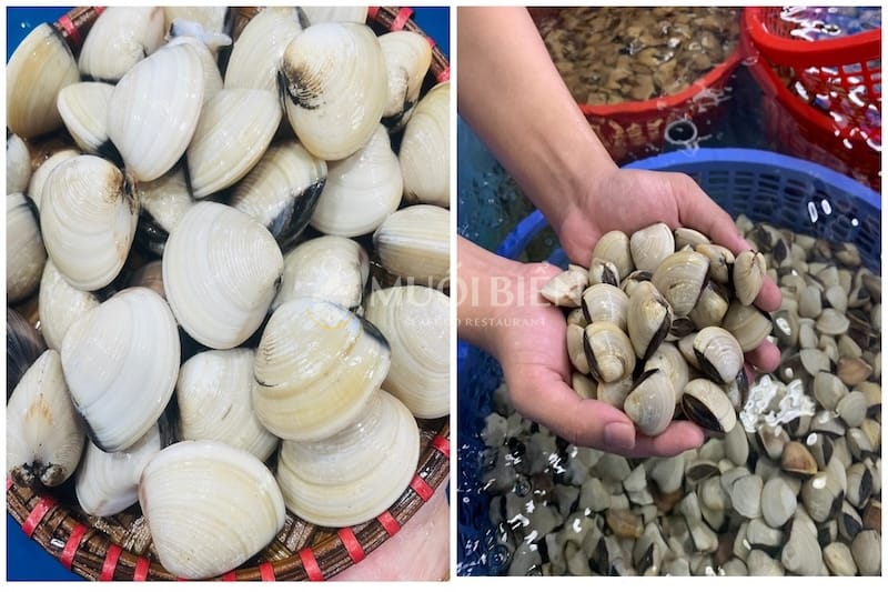 luộc nghêu bao lâu