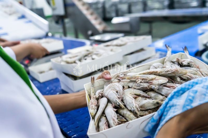 xuất khẩu hải sản