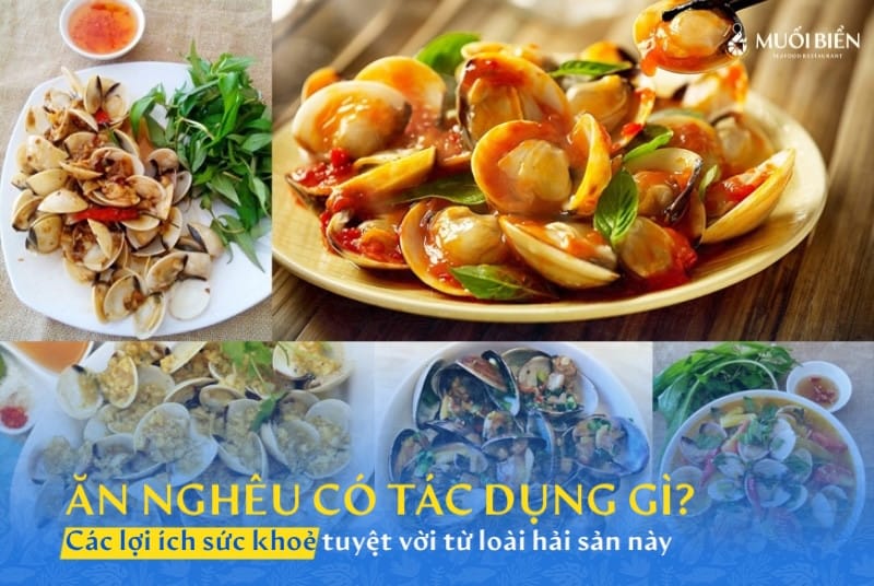 Ăn nghêu có tác dụng gì? Lợi ích sức khoẻ tuyệt vời từ nghêu