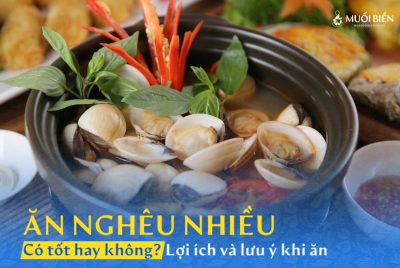Ăn nghêu nhiều có tốt không? Lợi ích và lưu ý khi ăn nghêu
