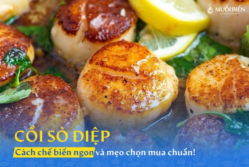 Cồi sò điệp là gì? Cách chế biến ngon và mẹo chọn mua chuẩn