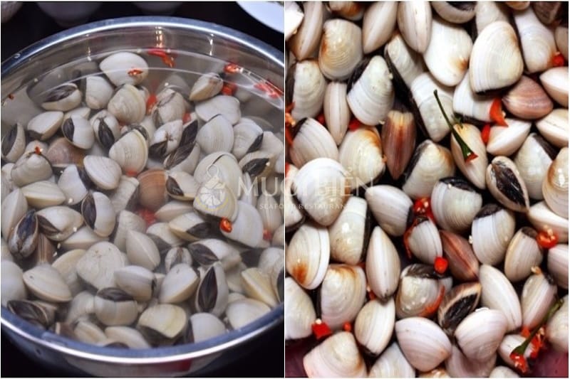 cách làm sạch nghêu trước khi chế biến nghêu hấp gừng