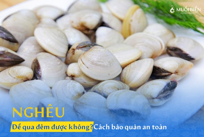 Nghêu để qua đêm được không? Cách bảo quản an toàn