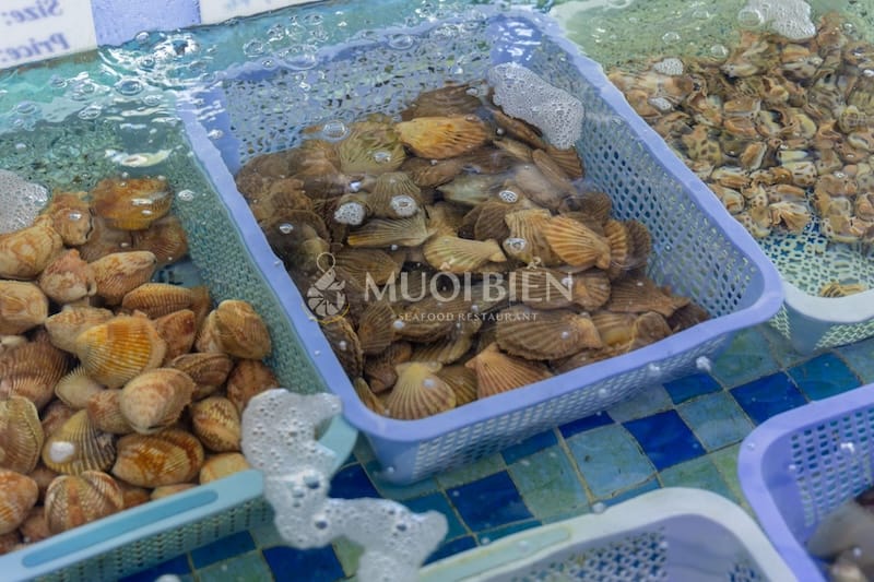 súp sò điệp
