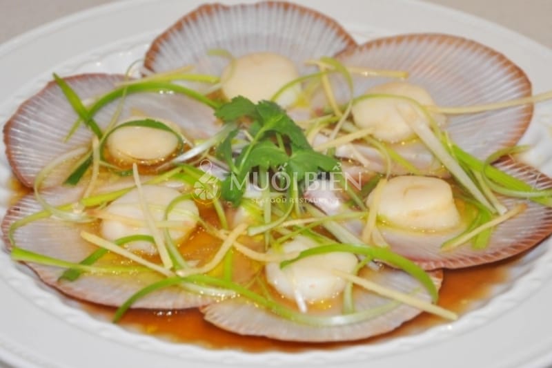 sò điệp hấp hành gừng sò điệp hấp