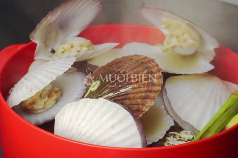 sò điệp hấp sả sò điệp hấp