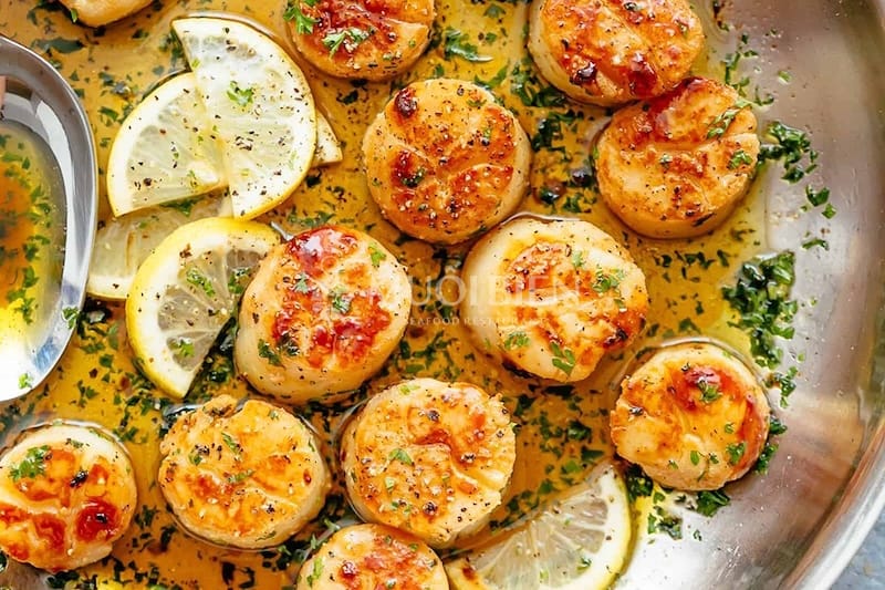 cồi sò điệp áp chảo sốt chanh cồi sò điệp