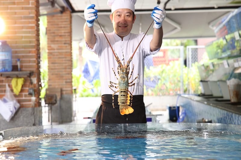 Tôm hùm bông tươi sống tại Muối Biển tôm hùm bông bỏ lò phô mai