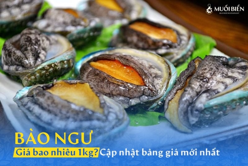Bào ngư bao nhiêu 1kg? Cập nhật bảng giá mới nhất 2025
