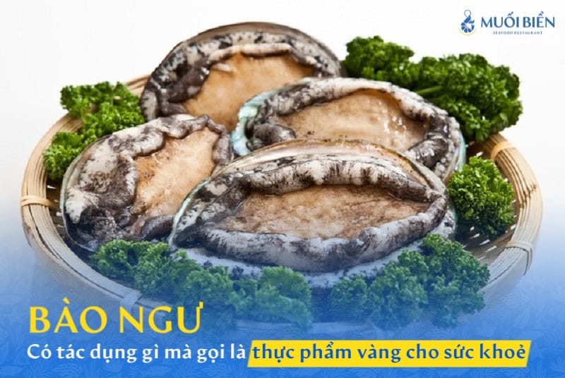 Bào ngư có tác dụng gì mà gọi là thực phẩm vàng cho sức khoẻ