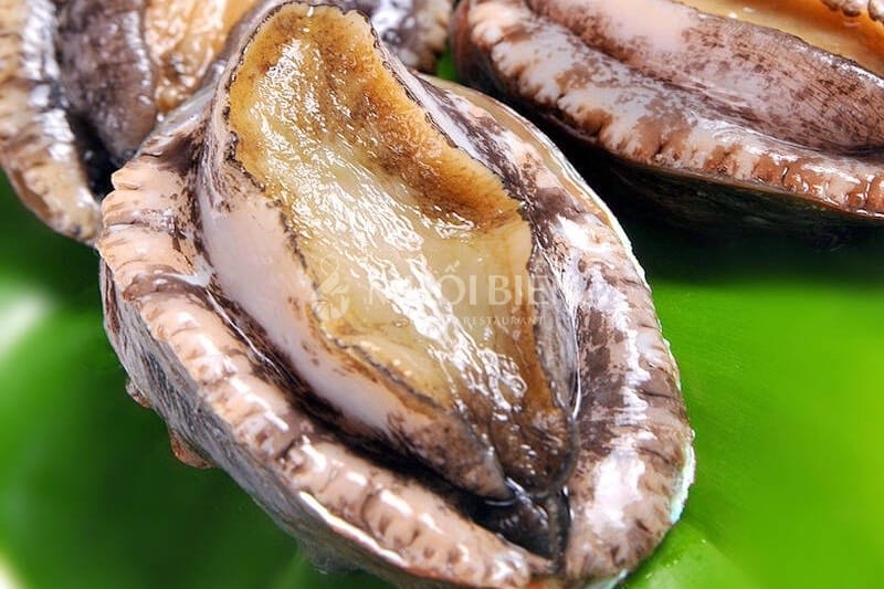 bào ngư bao nhiêu 1kg