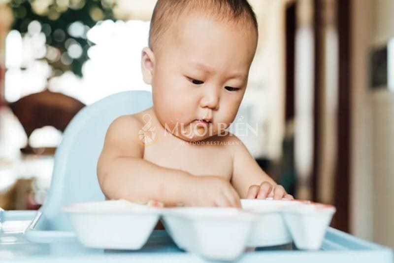 Bé mấy tháng ăn được bào ngư Bé mấy tháng ăn được bào ngư