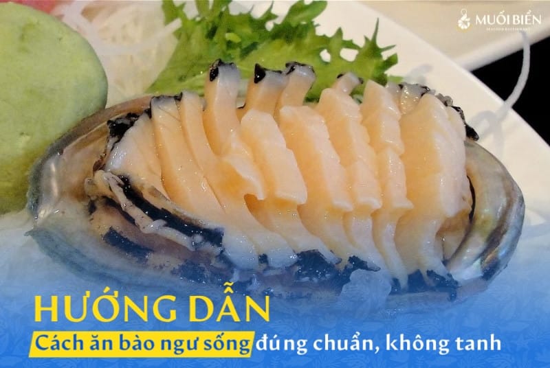 Hướng dẫn cách ăn bào ngư sống ngon đúng chuẩn, không tanh