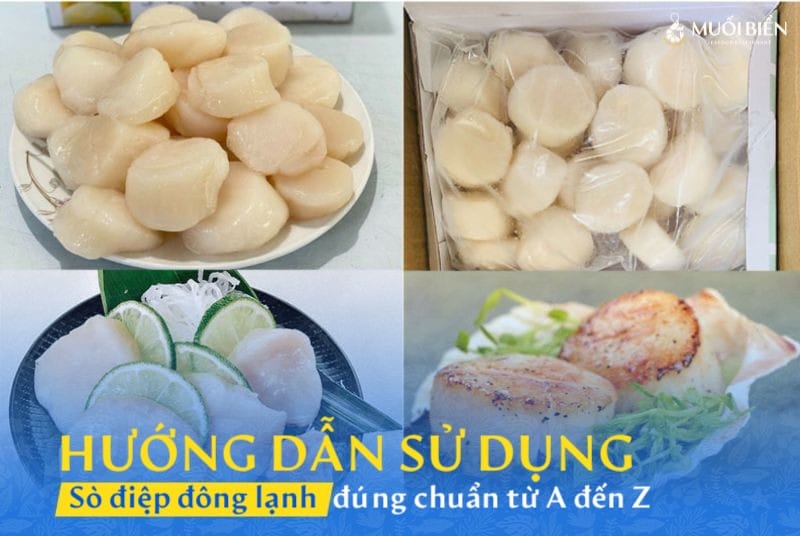 Hướng dẫn sử dụng sò điệp đông lạnh đúng chuẩn từ A đến Z