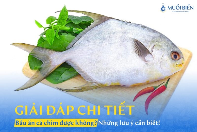 Bà bầu ăn cá chim được không? Những lưu ý cho mẹ bầu