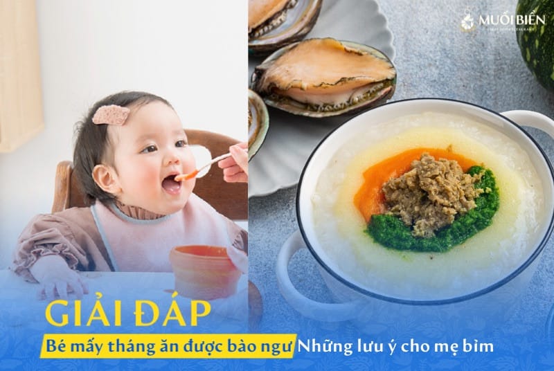 Bé mấy tháng ăn được bào ngư? Sai thời điểm lợi hoá hại!