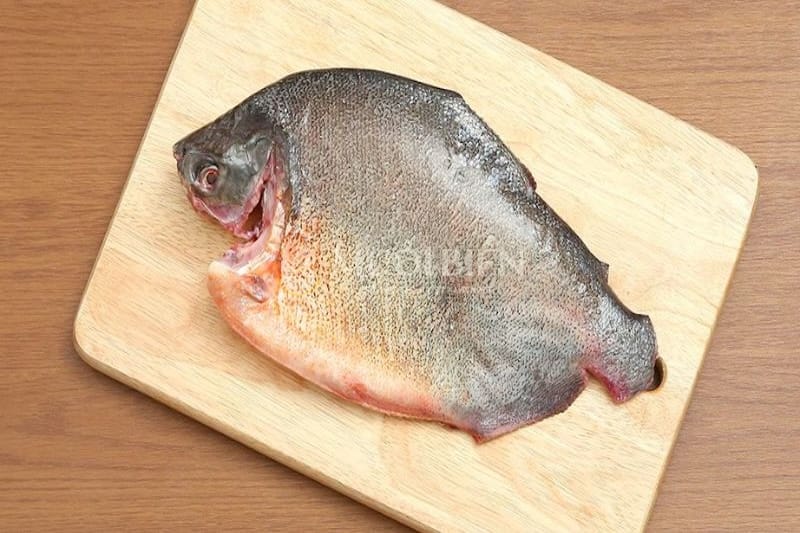Cá chim nước ngọt bao nhiêu tiền 1kg Cá chim nước ngọt bao nhiêu tiền 1kg