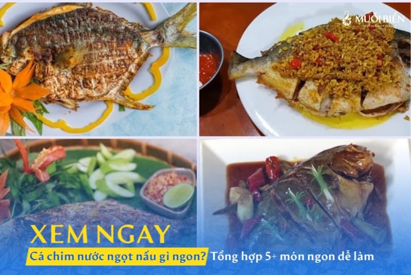 Cá chim nước ngọt nấu gì ngon? Tổng hợp 5+ món ngon dễ làm