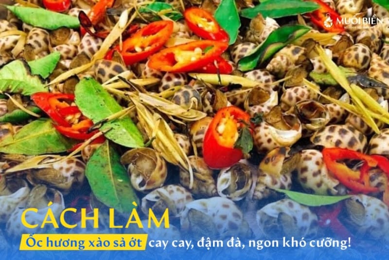 Cách làm ốc hương xào sả ớt cay cay, đậm đà, thơm nức mũi 