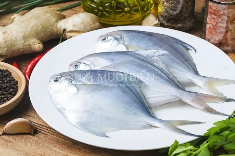 giá cá chim trắng giá cá chim trắng