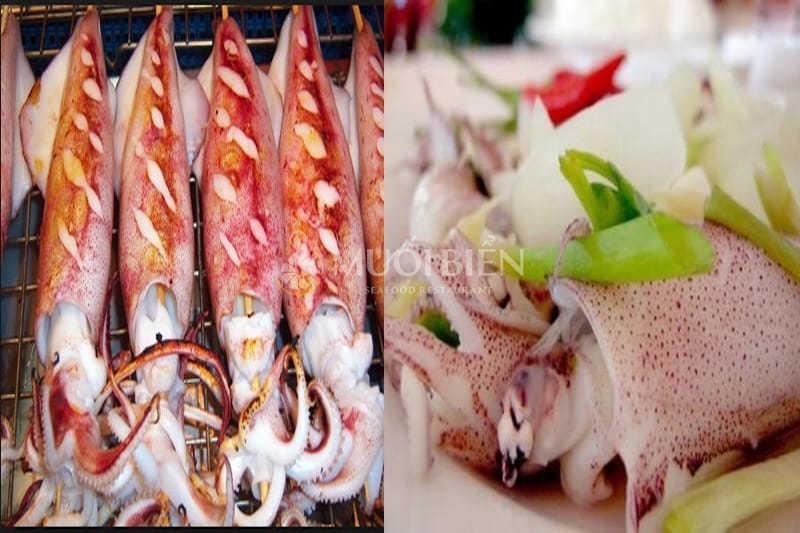 mực lá và mực ống loại nào ngon hơn mực lá và mực ống