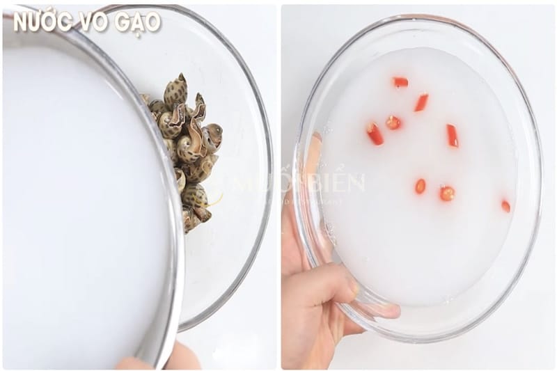 ngâm ốc hương trong nước vo gạo ốc hương xào me