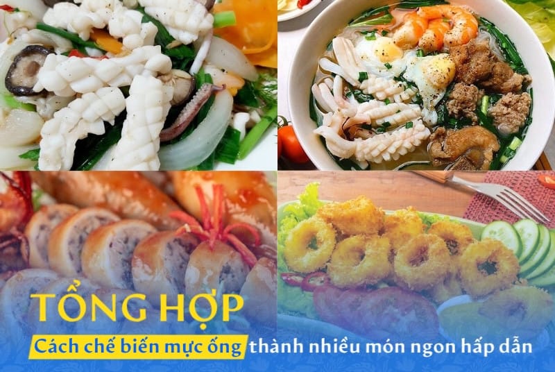 Tổng hợp cách chế biến mực ống thành các món ngon hấp dẫn