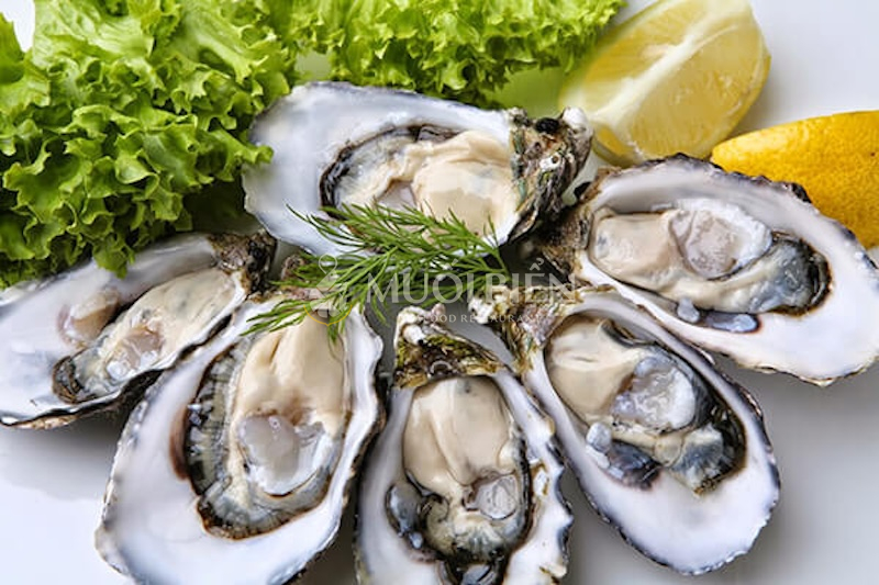 Ai nên và không nên ăn hàu biển