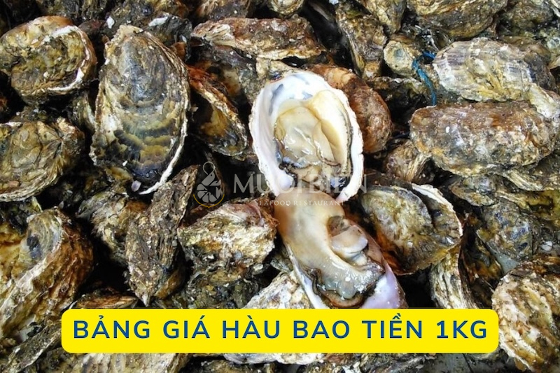 Bảng giá hàu bao tiền 1kg mới nhất 